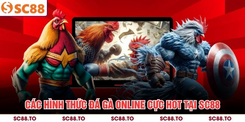 Các hình thức đá gà online cực hot tại SC88